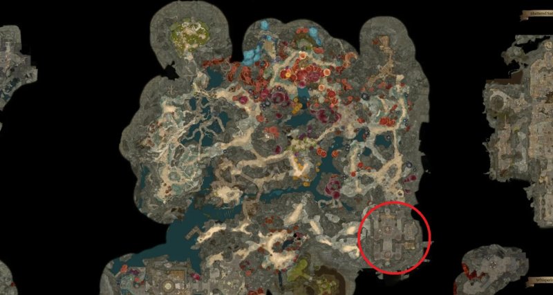 Baldur`s Gate 3 Селунитский аванпост