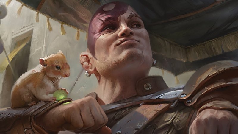 Baldur`s Gate 3 все спутники