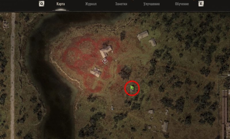 STALKER 2 маковое поле