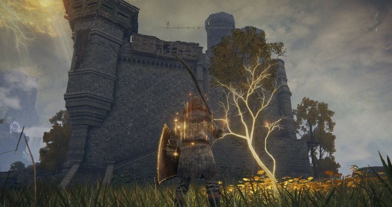 Где найти золотое семя в Elden Ring 8