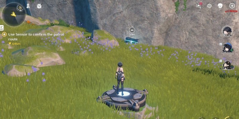 Wuthering Waves загадки