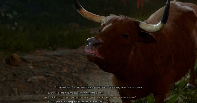 Baldur`s Gate 3 странный вол