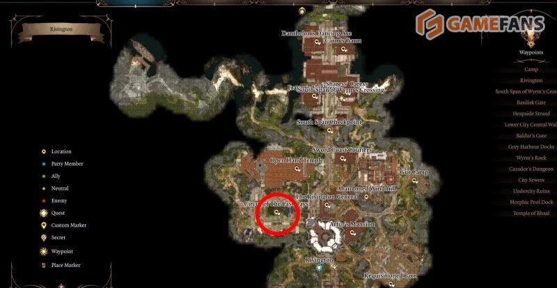 Baldur`s Gate 3 все торговцы