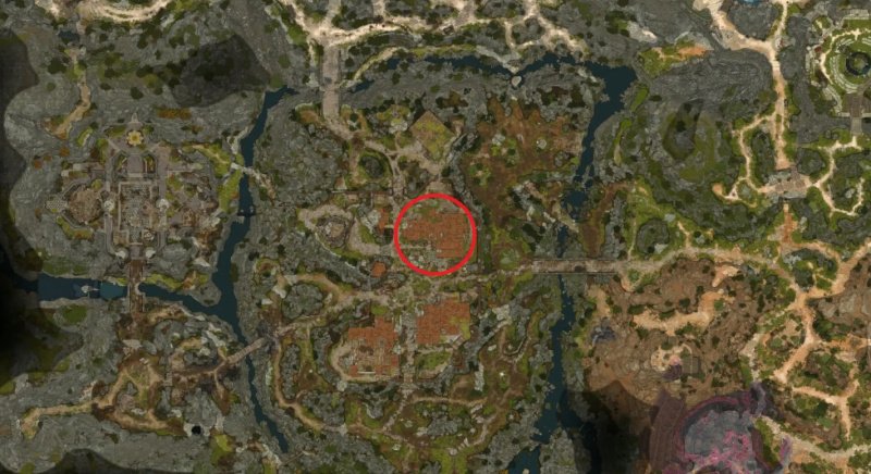 Baldur`s Gate 3 Карлах