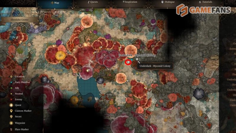 Baldur`s Gate 3 все торговцы