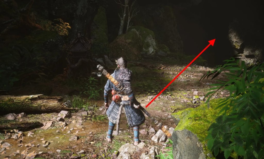 Black Myth: Wukong все места для медитации