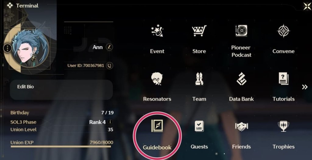 Wuthering Waves Iris