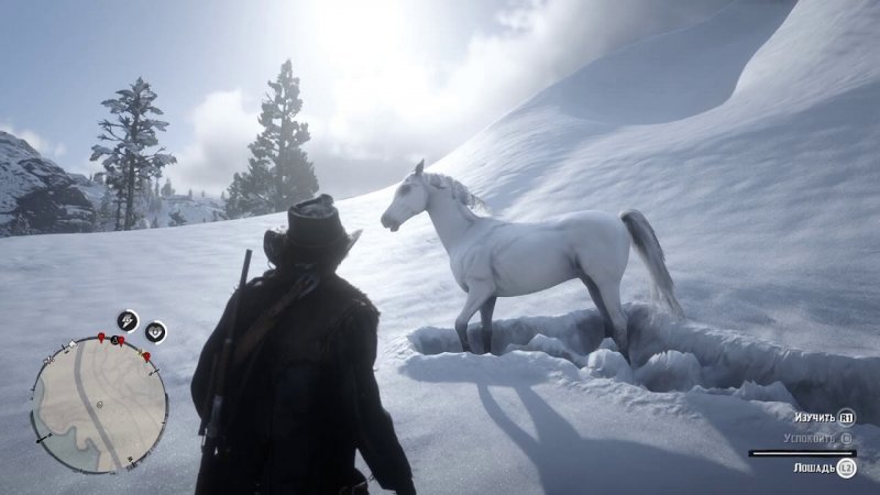 Как приручить лошадь в Red Dead Redemption 2