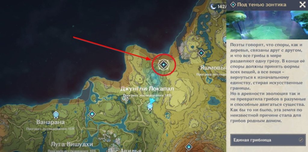 Genshin Impact все подземелья Сумеру