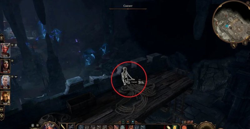 Baldur`s Gate 3 Селунитский аванпост