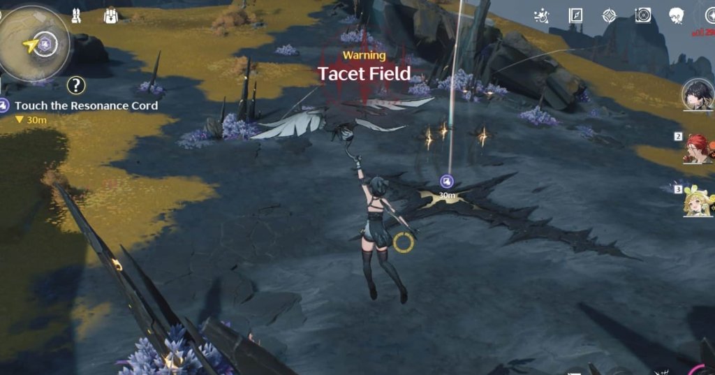 Wuthering Waves Tacet Field