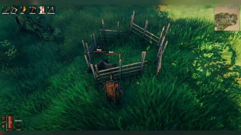 Valheim как приручать кабанов