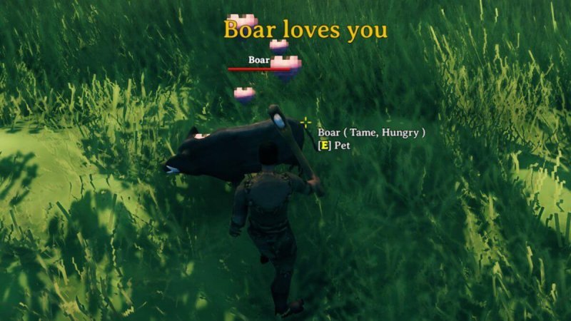 Valheim как разводить кабанов