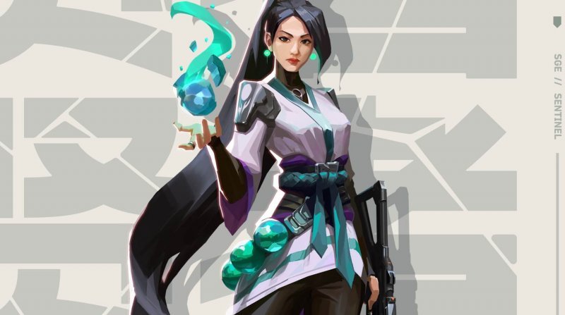 Valorant умения Sage