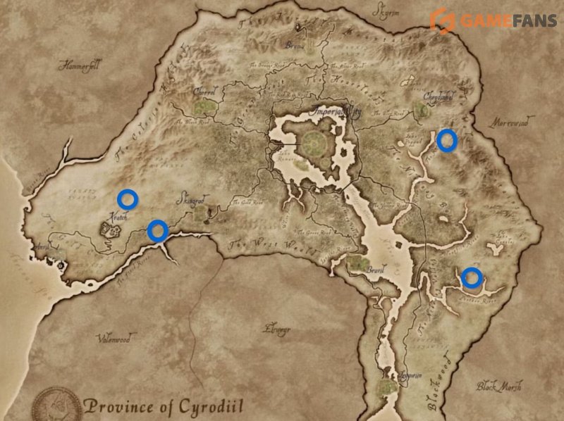 Oblivion Remastered камни душ