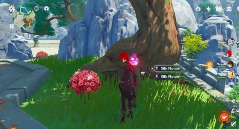 Genshin Impact где найти шелковицу 1