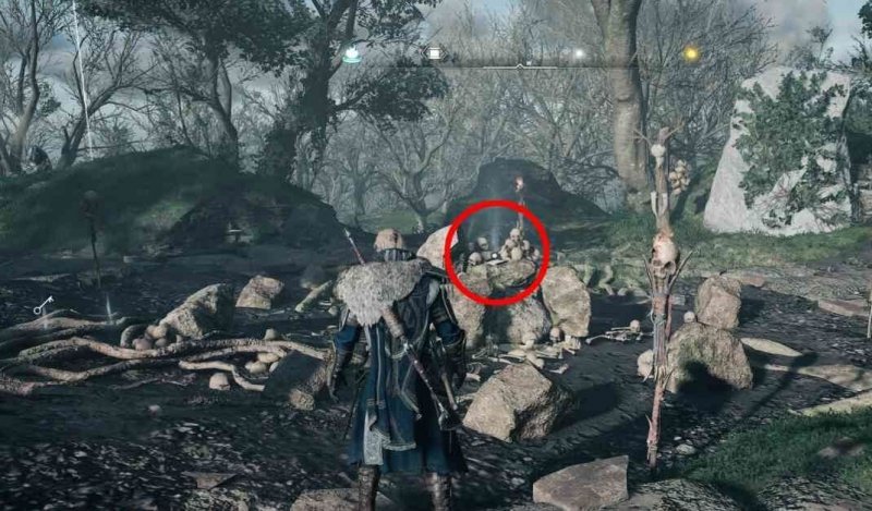 Assassins Creed Valhalla все дети дану 20