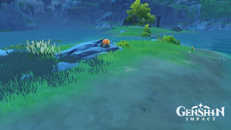 Genshin Impact где найти кор ляпис 65