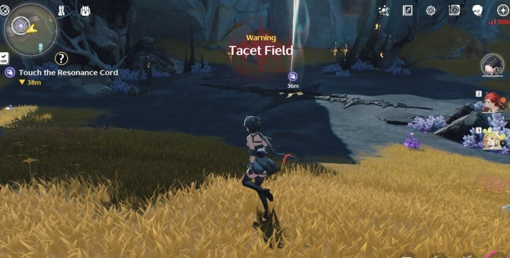 Wuthering Waves Tacet Field