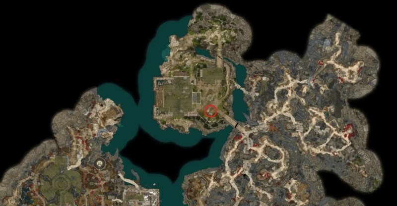 Baldur`s Gate 3 все торговцы