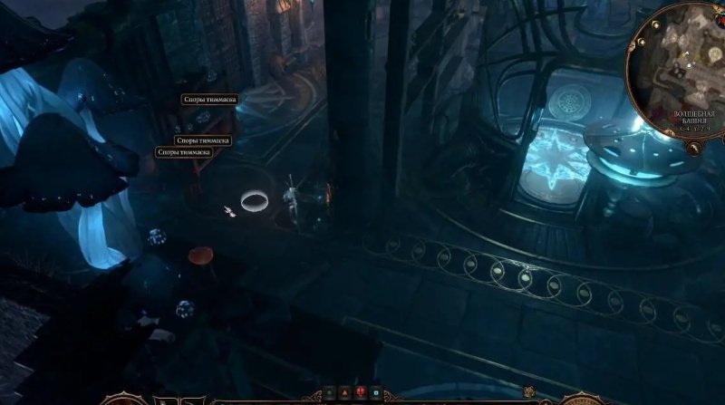 Baldur`s Gate 3 Омелум