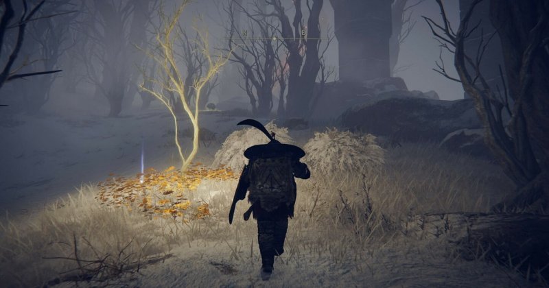 Где найти золотое семя в Elden Ring 50