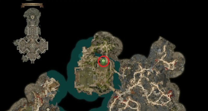 Baldur`s Gate 3 странный вол