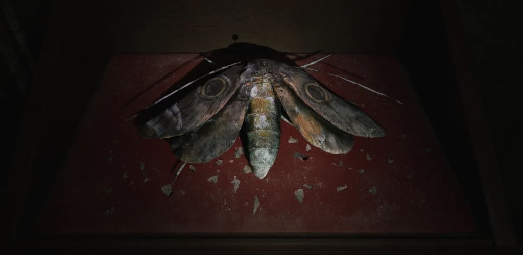 Silent Hill 2 бабочки