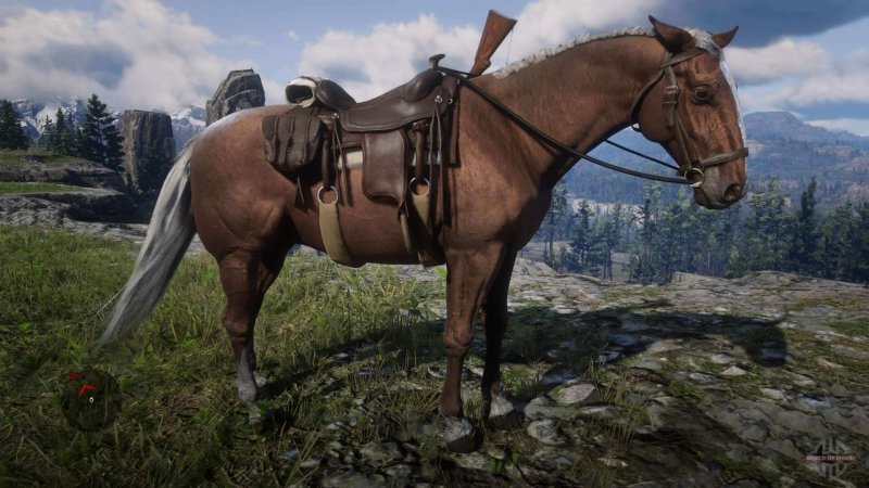 Как чистить лошадь в Red Dead Redemption 2
