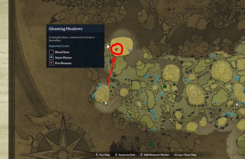 Полора Волшебница