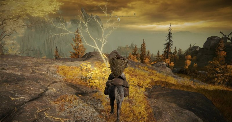 Где найти золотое семя в Elden Ring 32