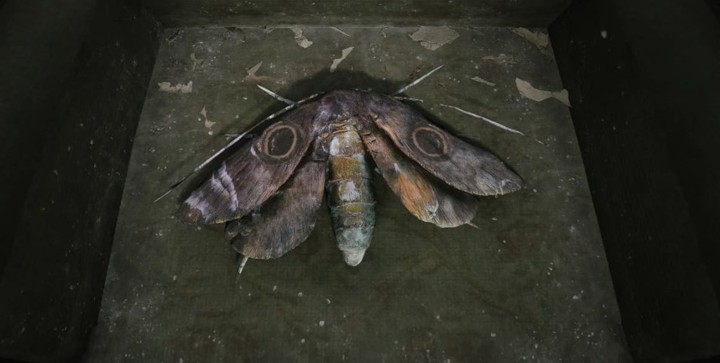 Silent Hill 2 бабочки