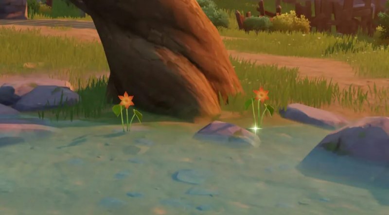 Genshin Impact где найти лилию калла 1