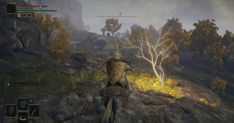 Где найти золотое семя в Elden Ring 6