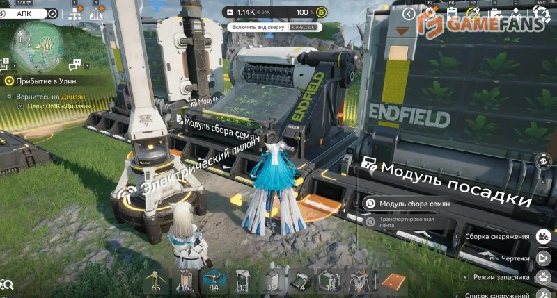 Песчанолист Arknights Endfield