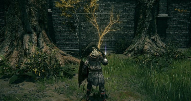 Где найти золотое семя в Elden Ring 12