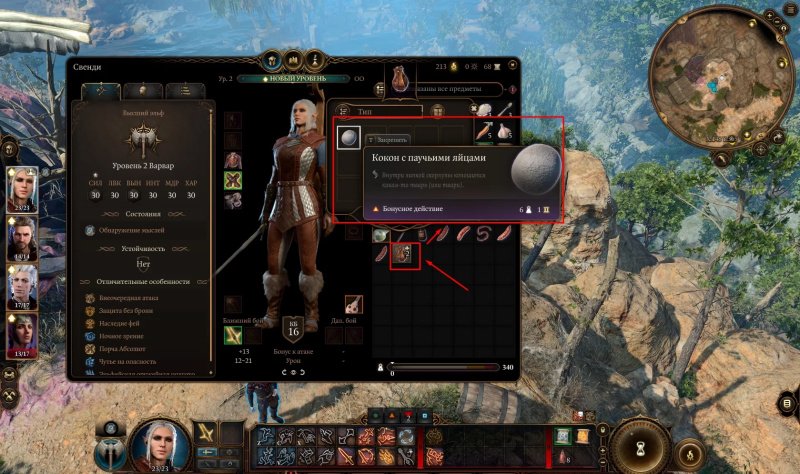 Baldur`s Gate 3 кокон с паучьими яйцами