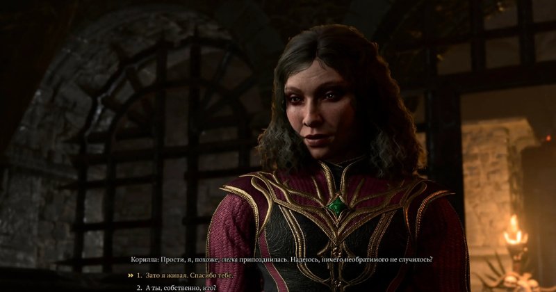 Baldur`s Gate 3 Верная Кишка