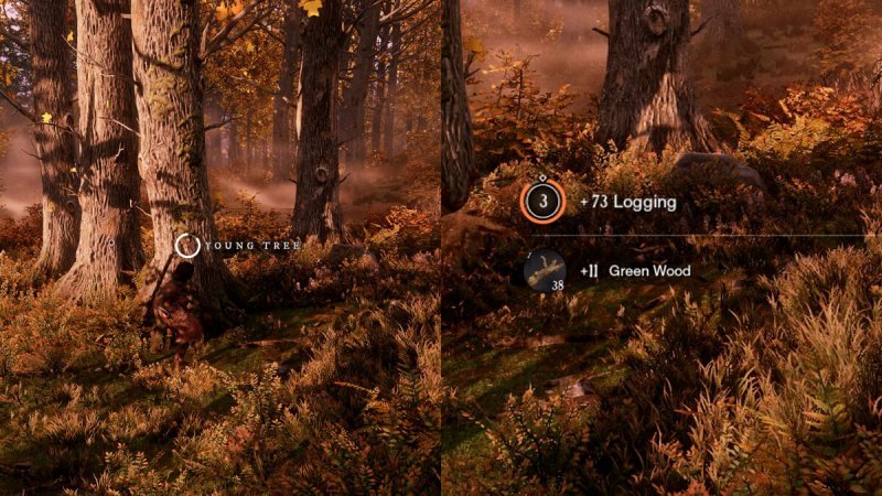 Профессии в New World лесозаготовка