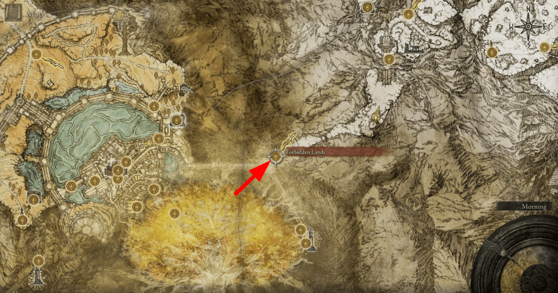 Где найти золотое семя в Elden Ring 49