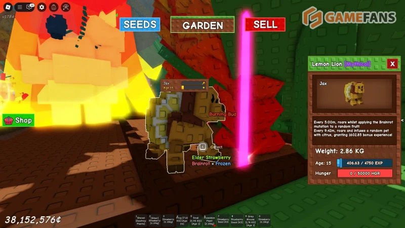 Лимонный лев в Вырасти Сад