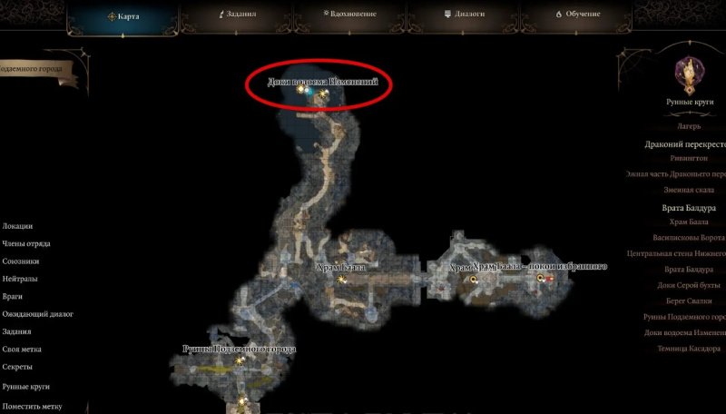 Baldur`s Gate 3 старший мозг