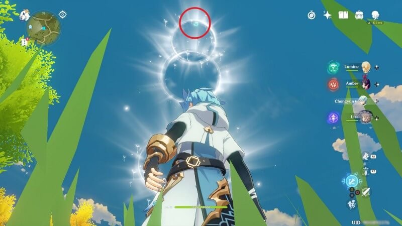 Анемокулы в Genshin Impact 37