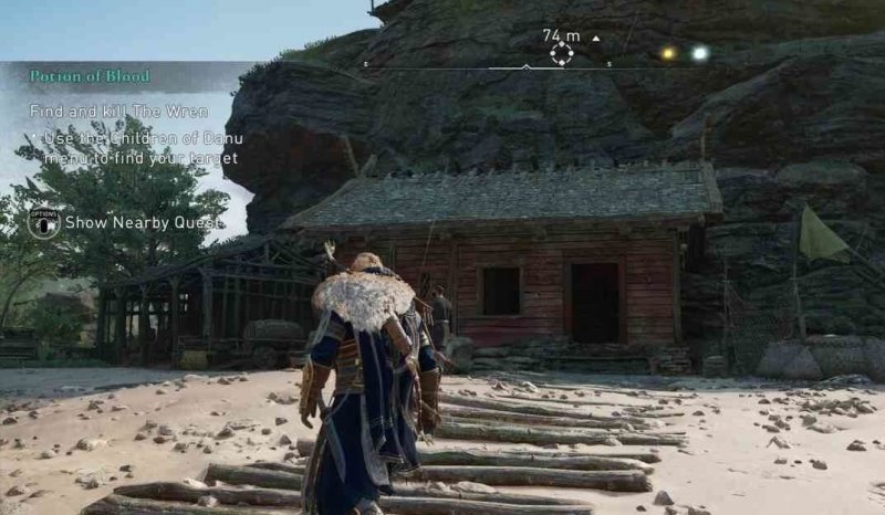 Assassins Creed Valhalla все дети дану 2