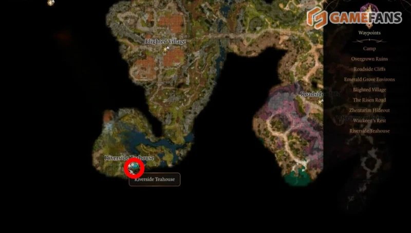 Baldur`s Gate 3 все торговцы