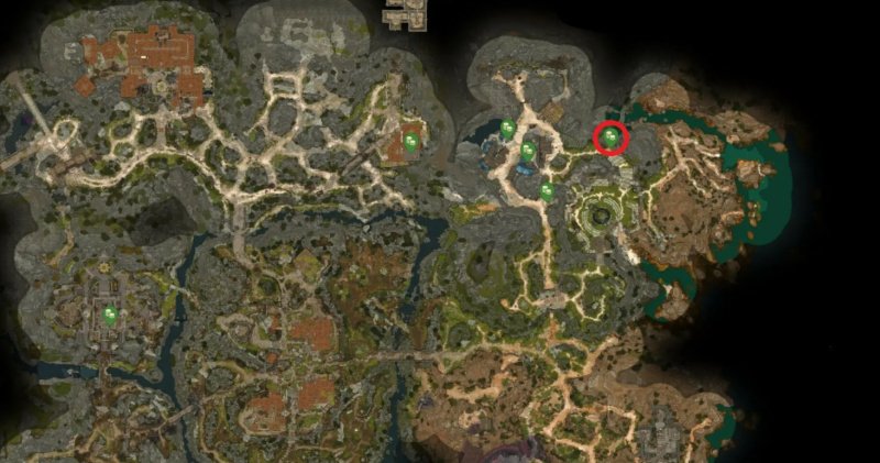 Baldur`s Gate 3 все торговцы