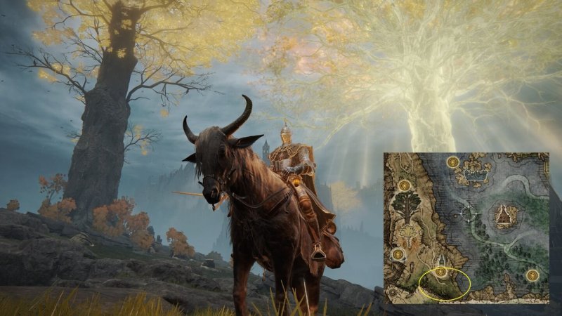 Как пройти квест Ренни в Elden Ring 3