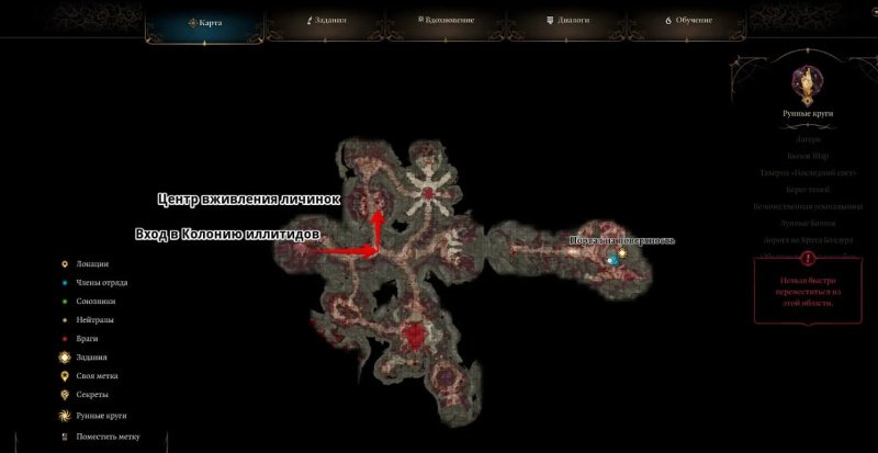 Baldur`s Gate 3 как спасти Зевлора