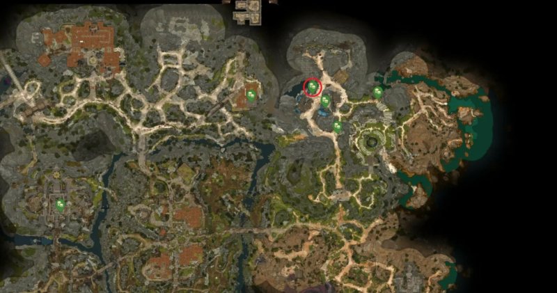 Baldur`s Gate 3 все торговцы