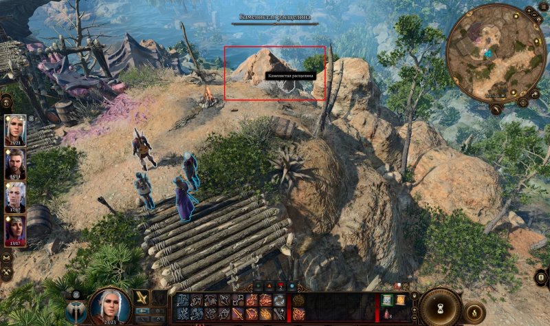 Baldur`s Gate 3 кокон с паучьими яйцами